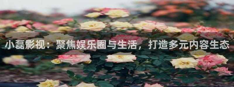成人韩国影视：小磊影视：聚焦娱乐圈与生活，打造多元内容生态