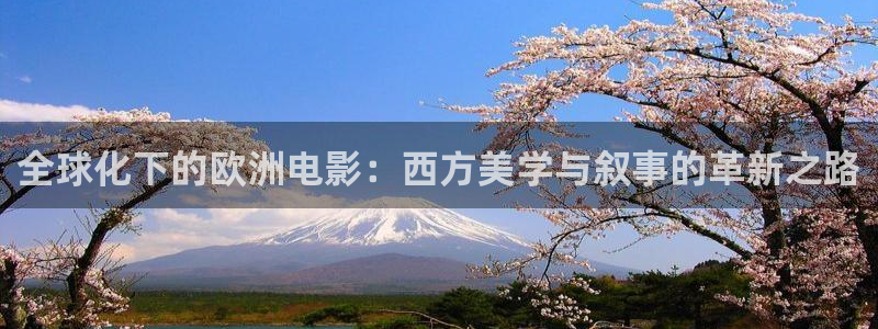 韩国影视免费观看：全球化下的欧洲电影：西方美学与叙事的革新之路