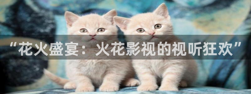 韩国影视：“花火盛宴：火花影视的视听狂欢”