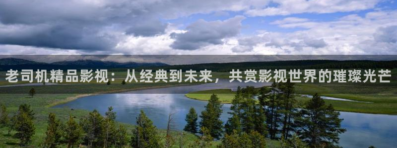 八戒韩国影视：老司机精品影视：从经典到未来，共赏影视世界的璀璨光芒