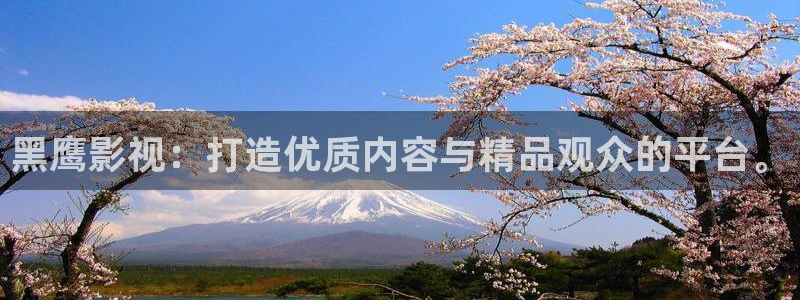 八戒韩国影视：黑鹰影视：打造优质内容与精品观众的平台。