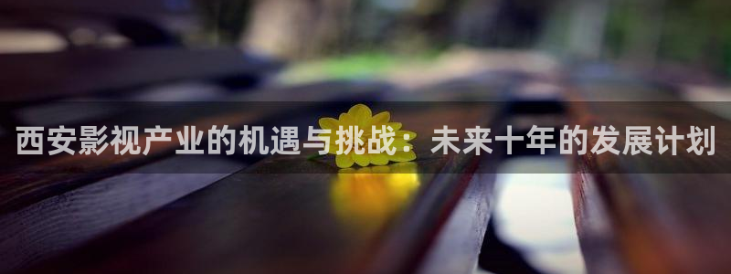 韩国影视大全：西安影视产业的机遇与挑战：未来十年的发展计划